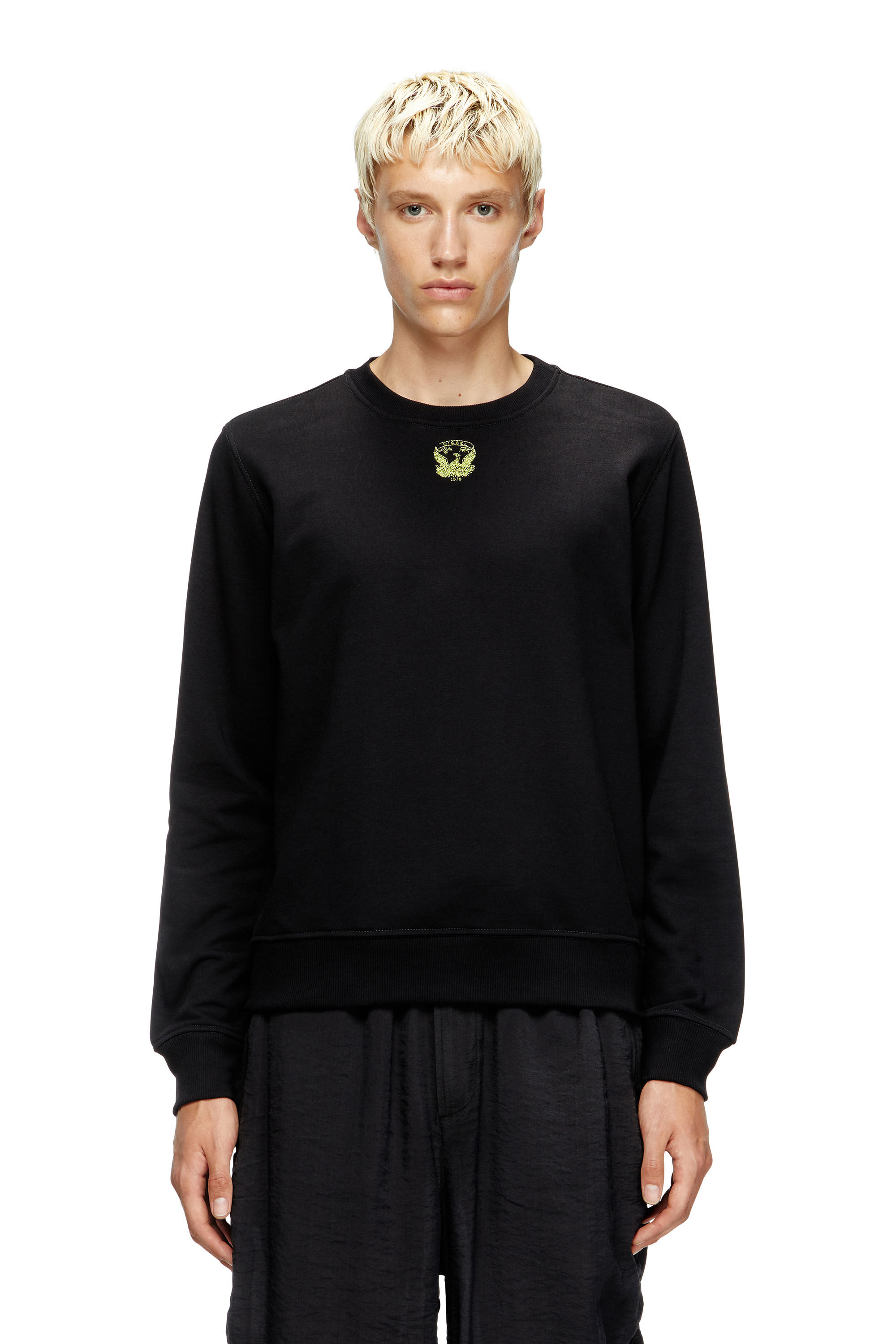 Diesel - S-GINN-T1, Sudadera con ave fénix bordada Hombre in Negro - 1