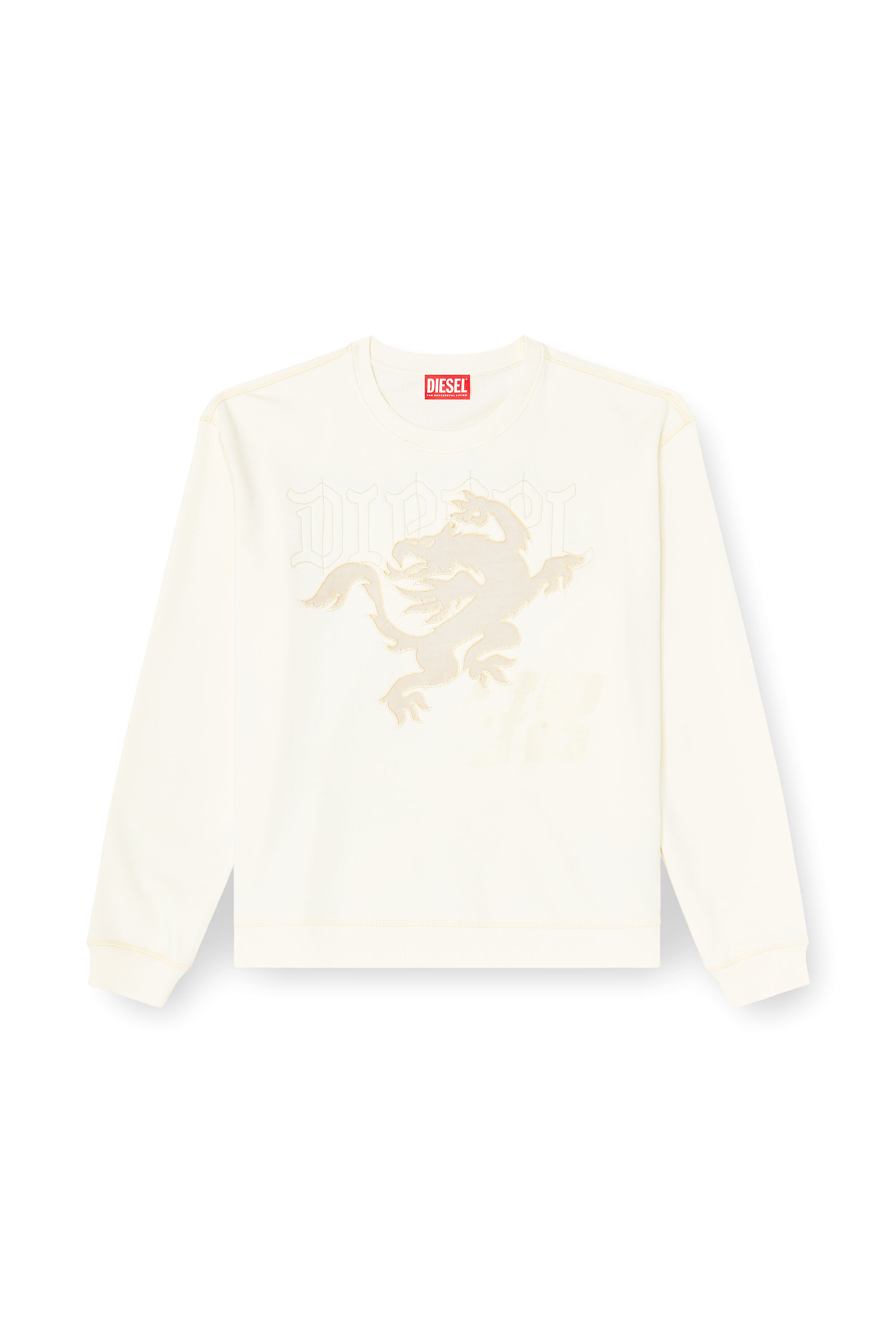 Diesel - S-NORM-AA3, Sudadera con bordado y estampado Hombre in ToBeDefined - 2