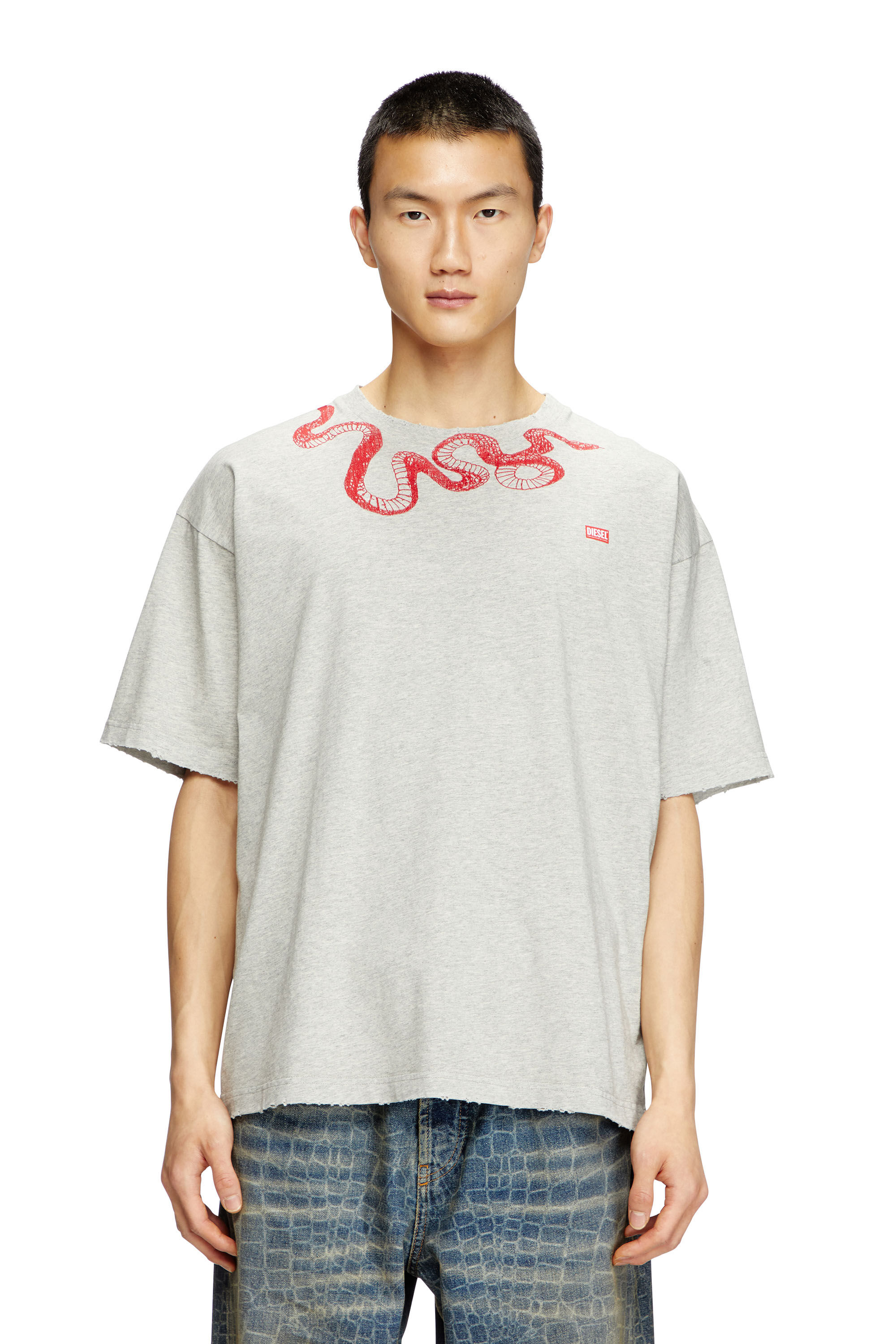 Diesel - CL-T-BOXT-MEL-SNAKE, Camiseta con bordado de serpiente Unisex in Gris - 3