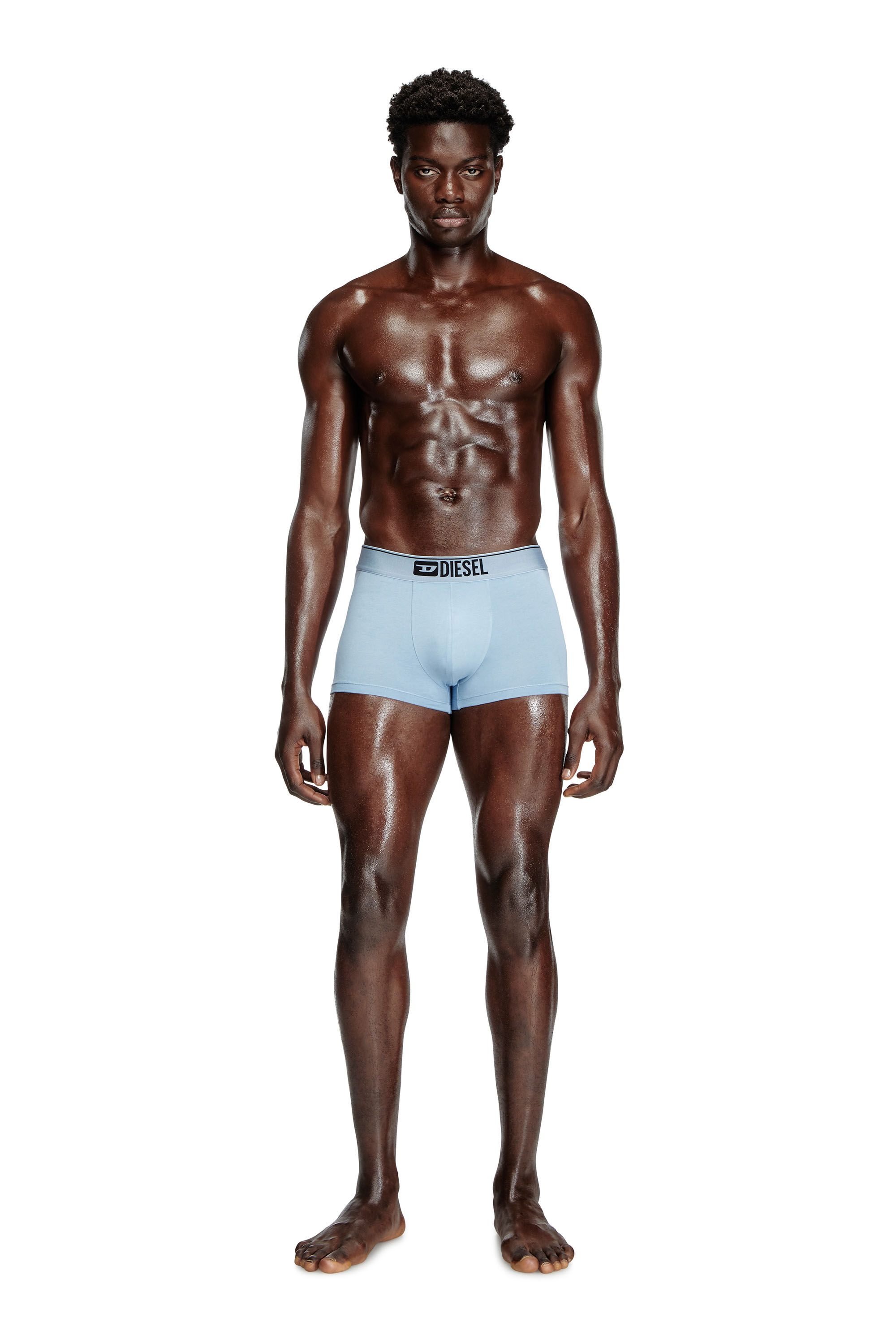 Diesel - DAMIEN-THREEPACK, Man's Three-pack boxer briefs with floral motif in Blue/White - 1
