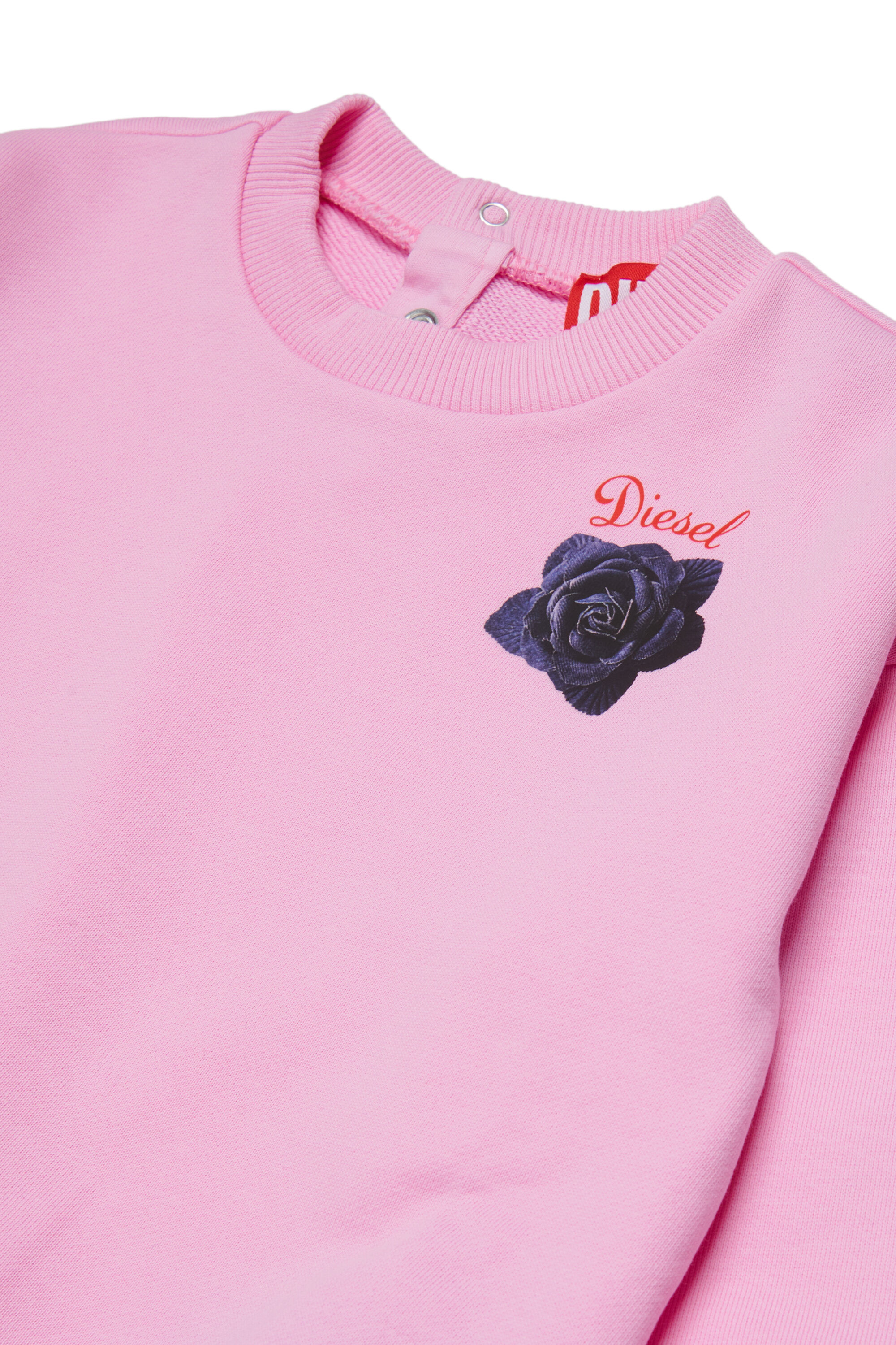 Diesel - SROSEB, Sudadera de algod&oacute;n con estampado de rosas Mujer in Rosa - 3
