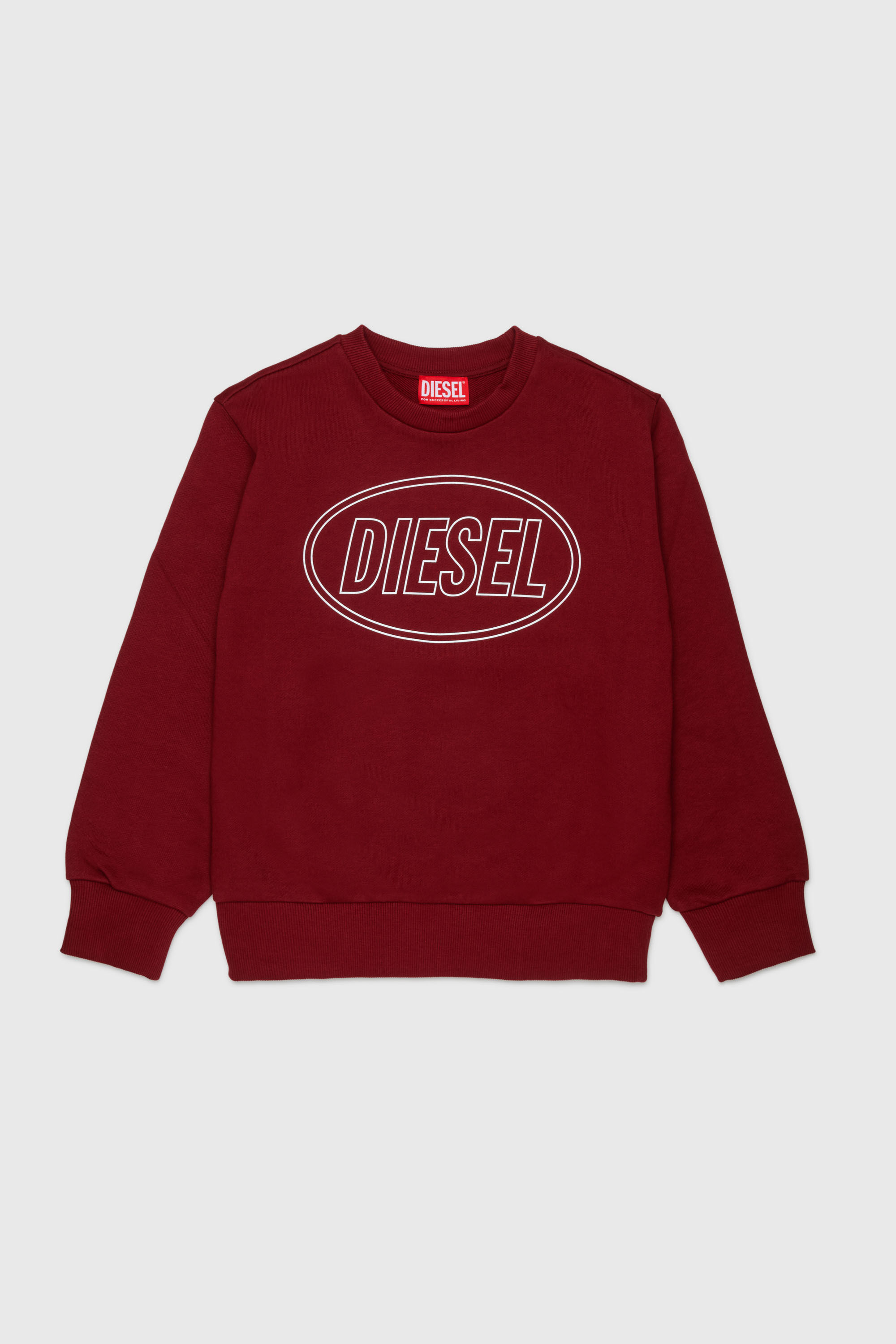 Diesel - SCIRCLE OVER, Sudadera con estampado de logotipo Hombre in Rojo - 1