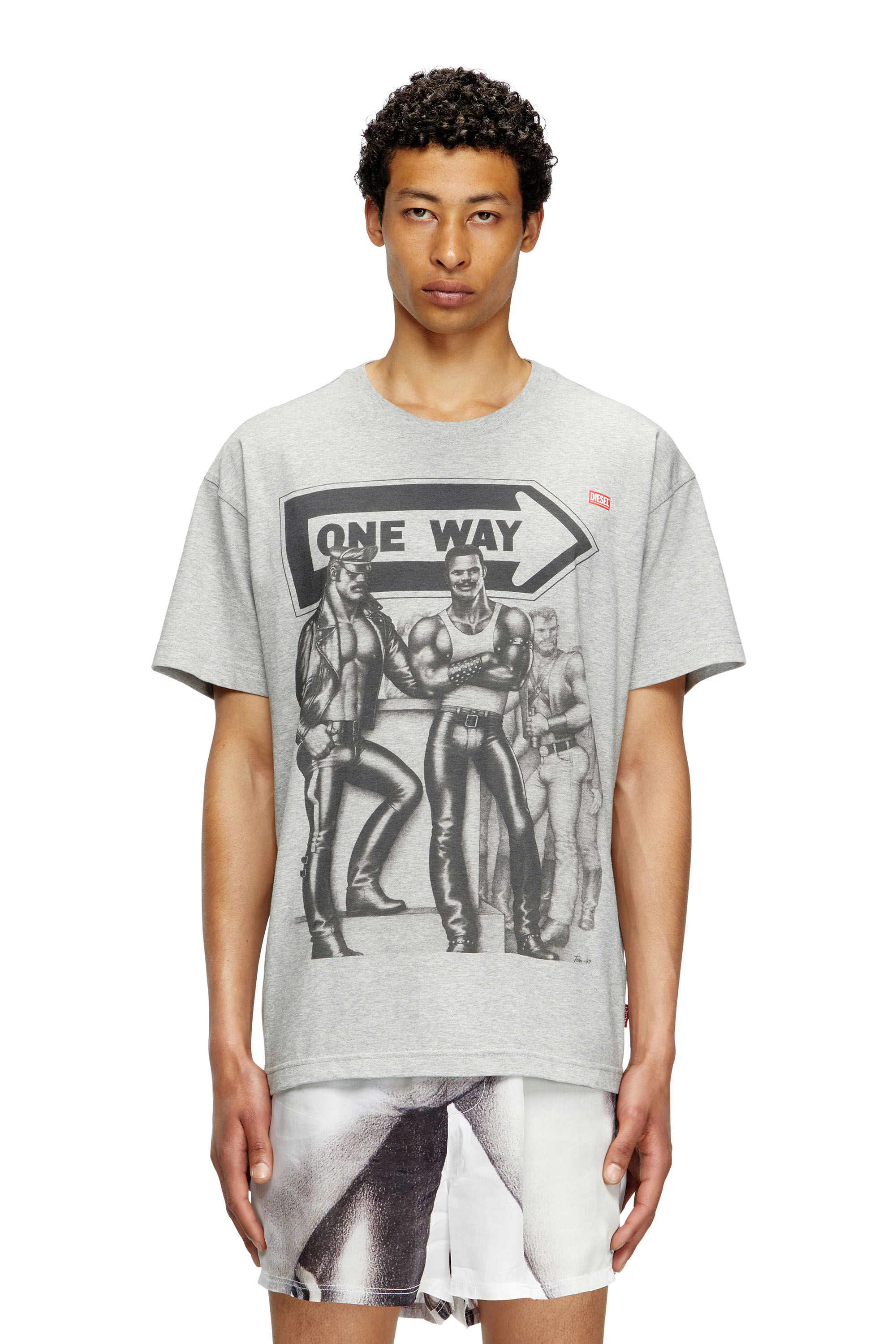 Diesel - PR-T-NORM-TOM25, Camiseta con estampado gráfico Unisex in Gris - 3