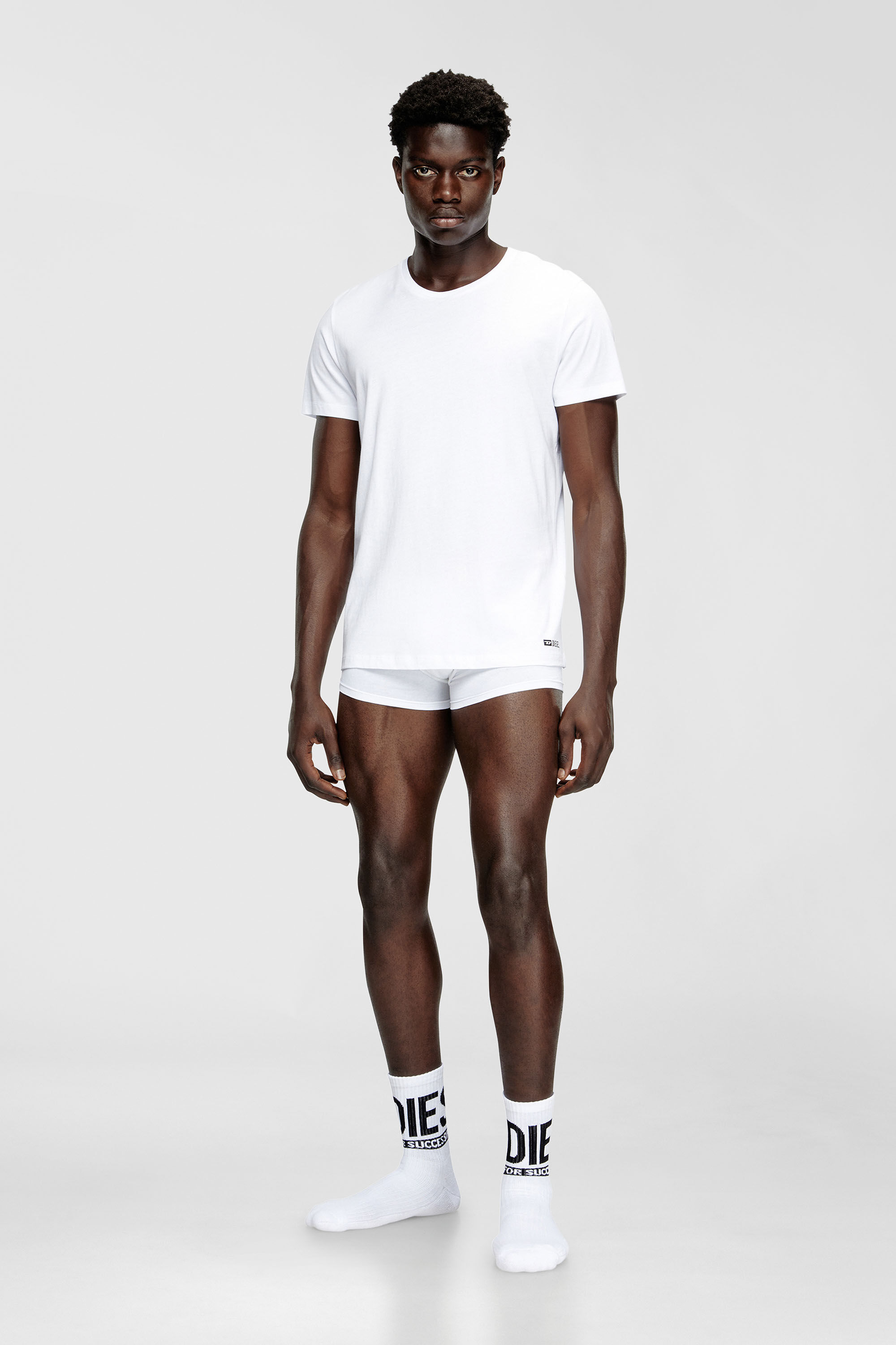 Diesel - RANDAL-D-BOX-3PACK, Paquete de tres camisetas Hombre in Blanco - 1