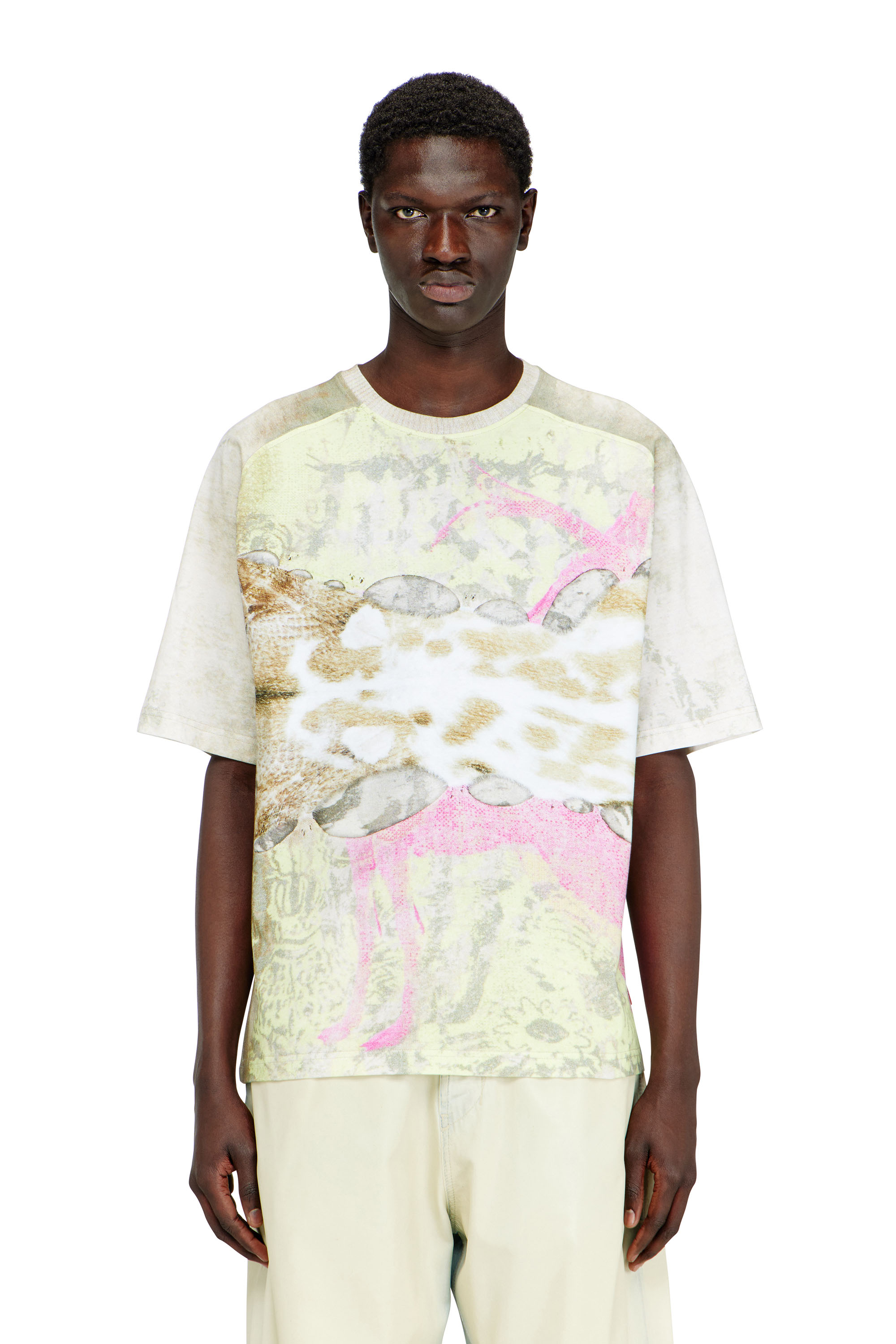 Diesel - T-CLINT, Camiseta con estampado animal Hombre in Gris - 1