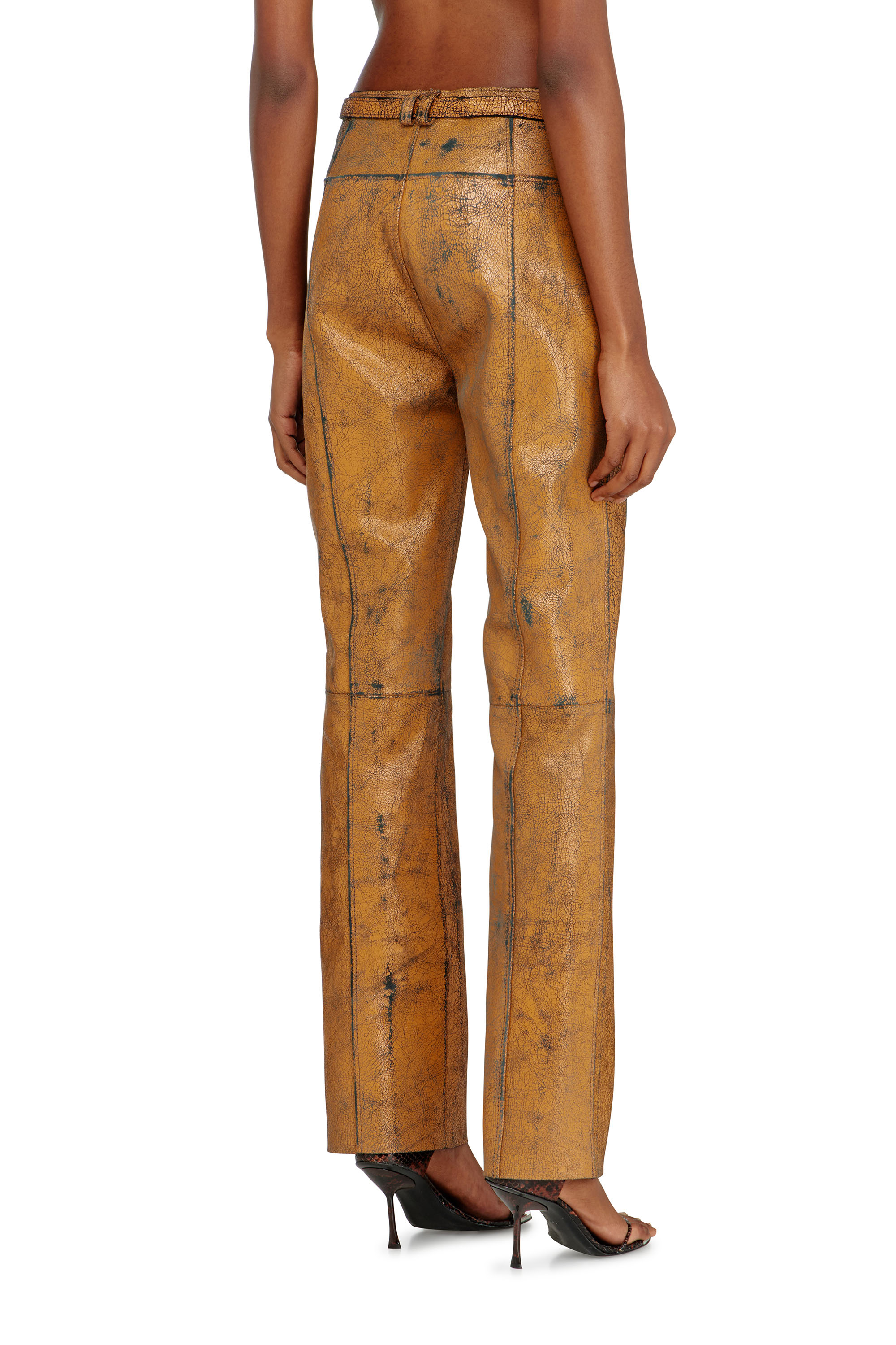 L-CROC, Marr&oacute;n