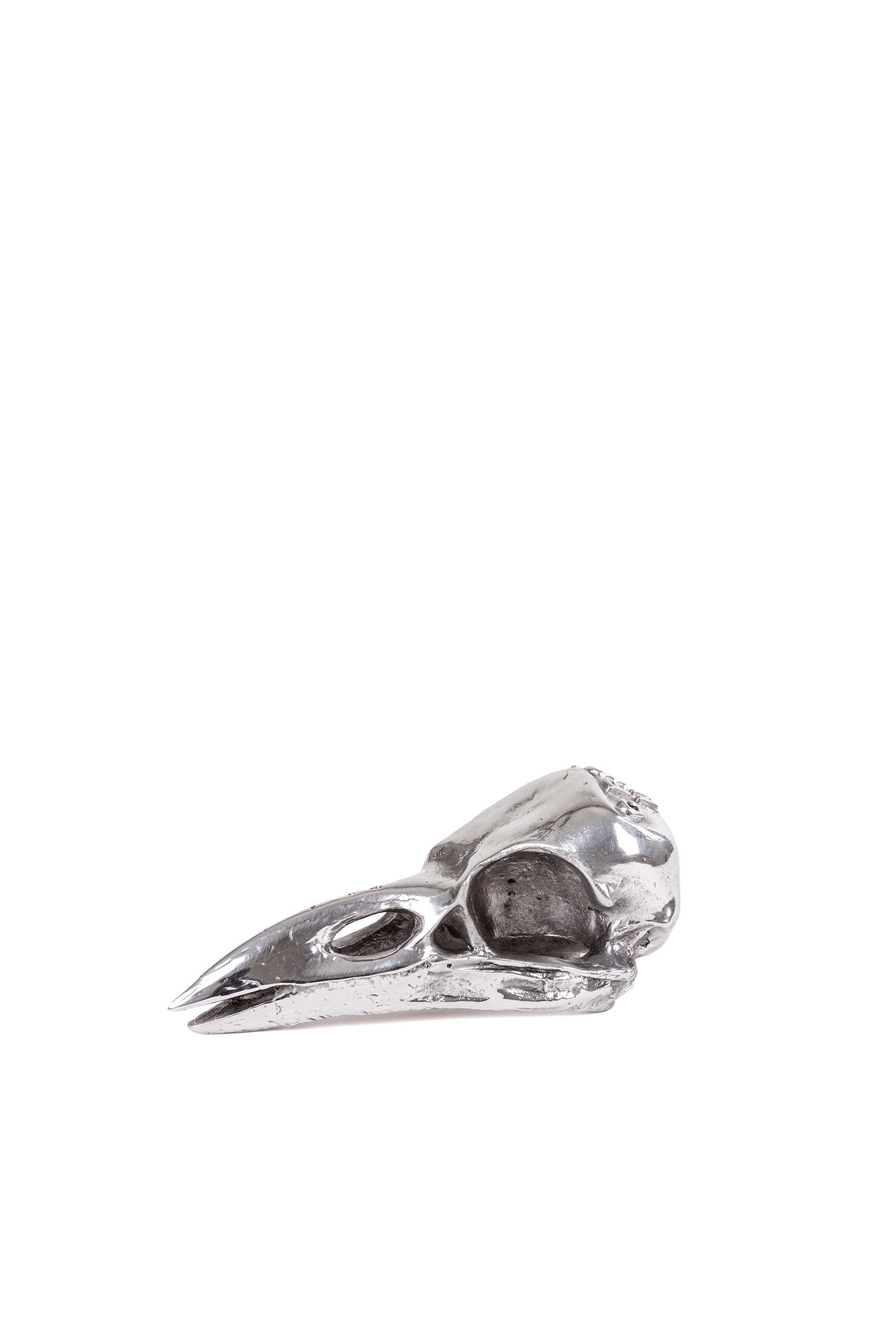 Diesel - 10895 WUNDERKAMMER, "Crow Up" Wunderkammer Bird Skull Unisex in Plateado - 1