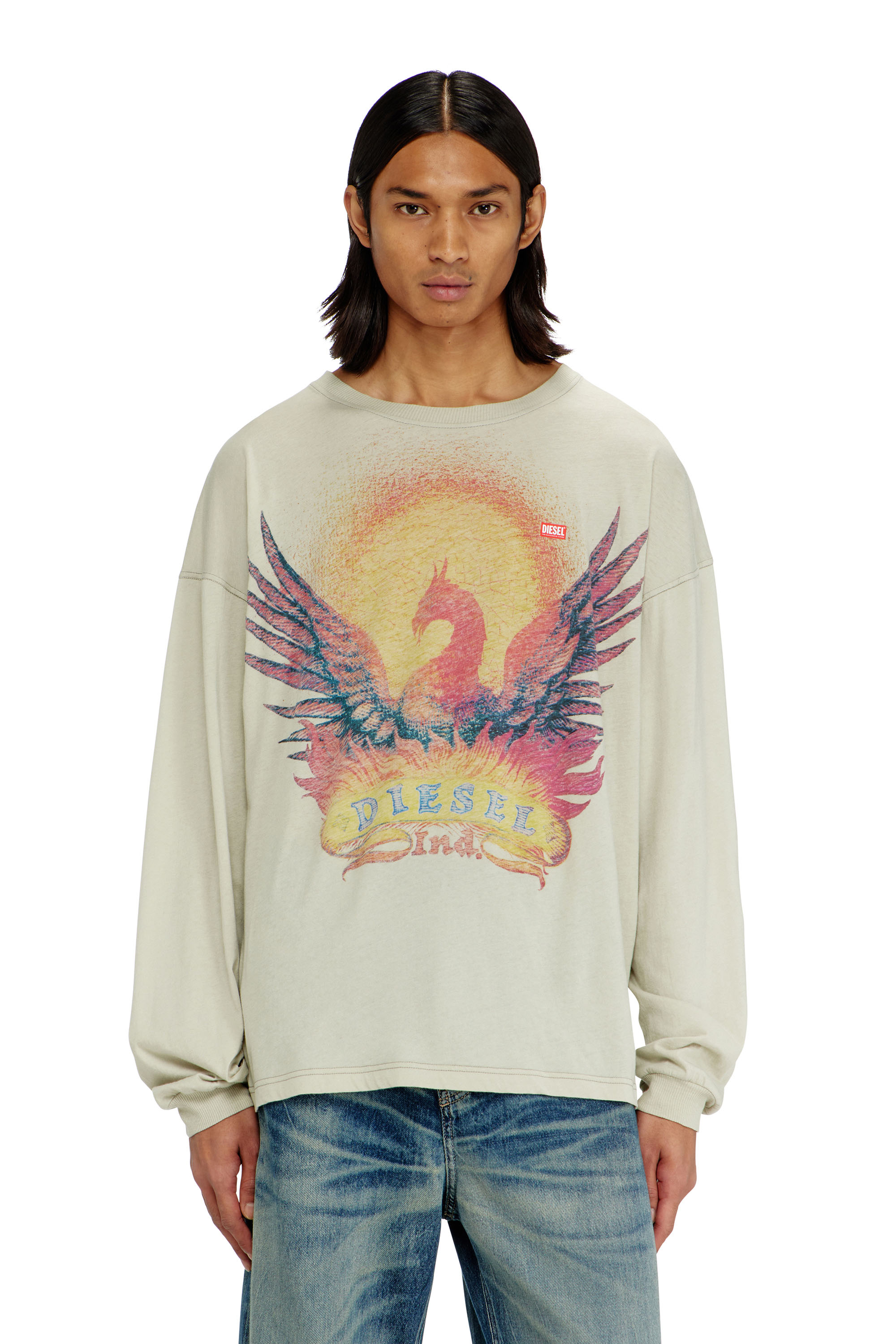 Diesel - T-BOXT-LS-AA1, Camiseta de manga larga con gr&aacute;fico de Phoenix Hombre in Beige - 1