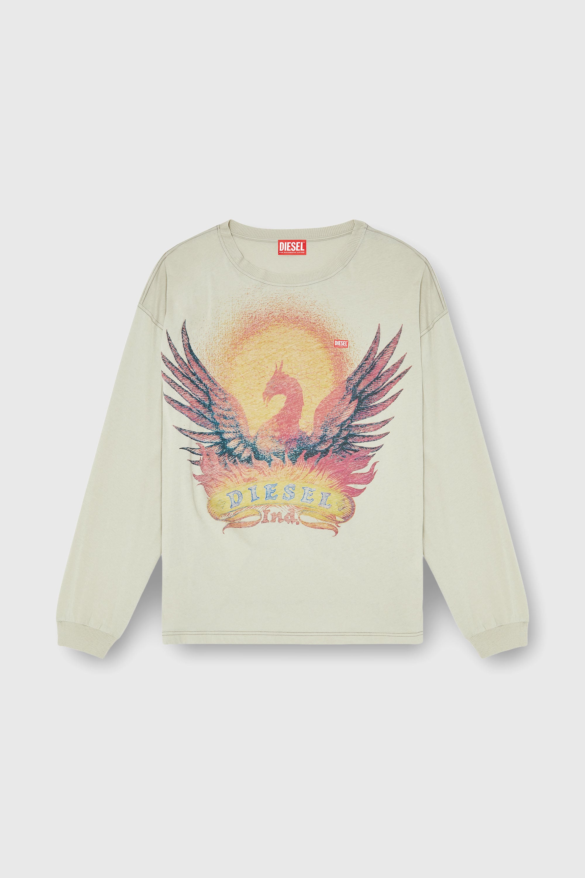 Diesel - T-BOXT-LS-AA1, Camiseta de manga larga con gr&aacute;fico de Phoenix Hombre in Beige - 2
