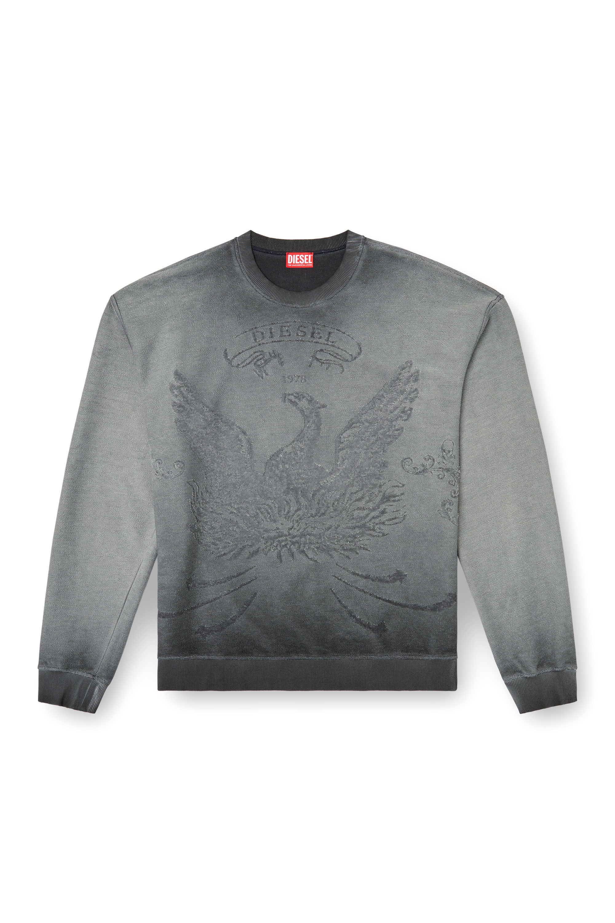 Diesel - S-ARON, Sudadera desteñida con logotipo Phoenix devoré Hombre in Gris - 2