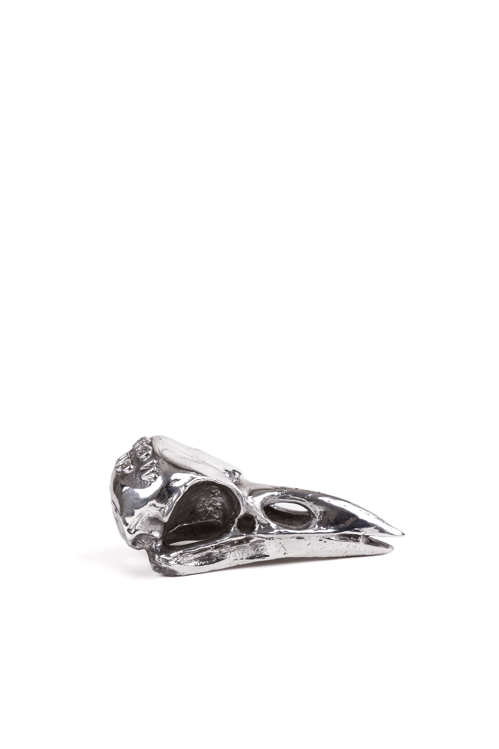 Diesel - 10895 WUNDERKAMMER, "Crow Up" Wunderkammer Bird Skull Unisex in Plateado - 4