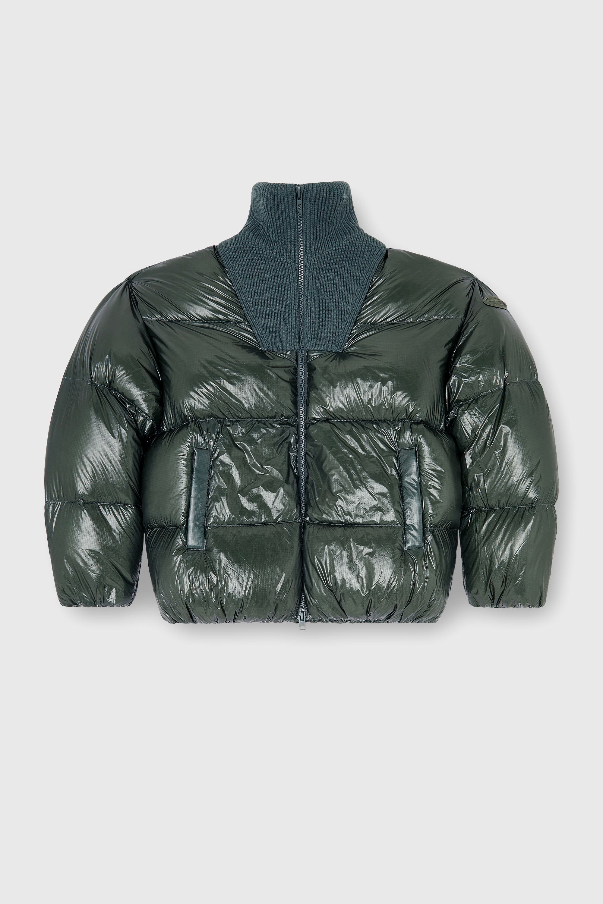 Diesel - W-RIBB, Man's Down puffer jacket in ripstop with ribbed collar in Dark Green - 2
