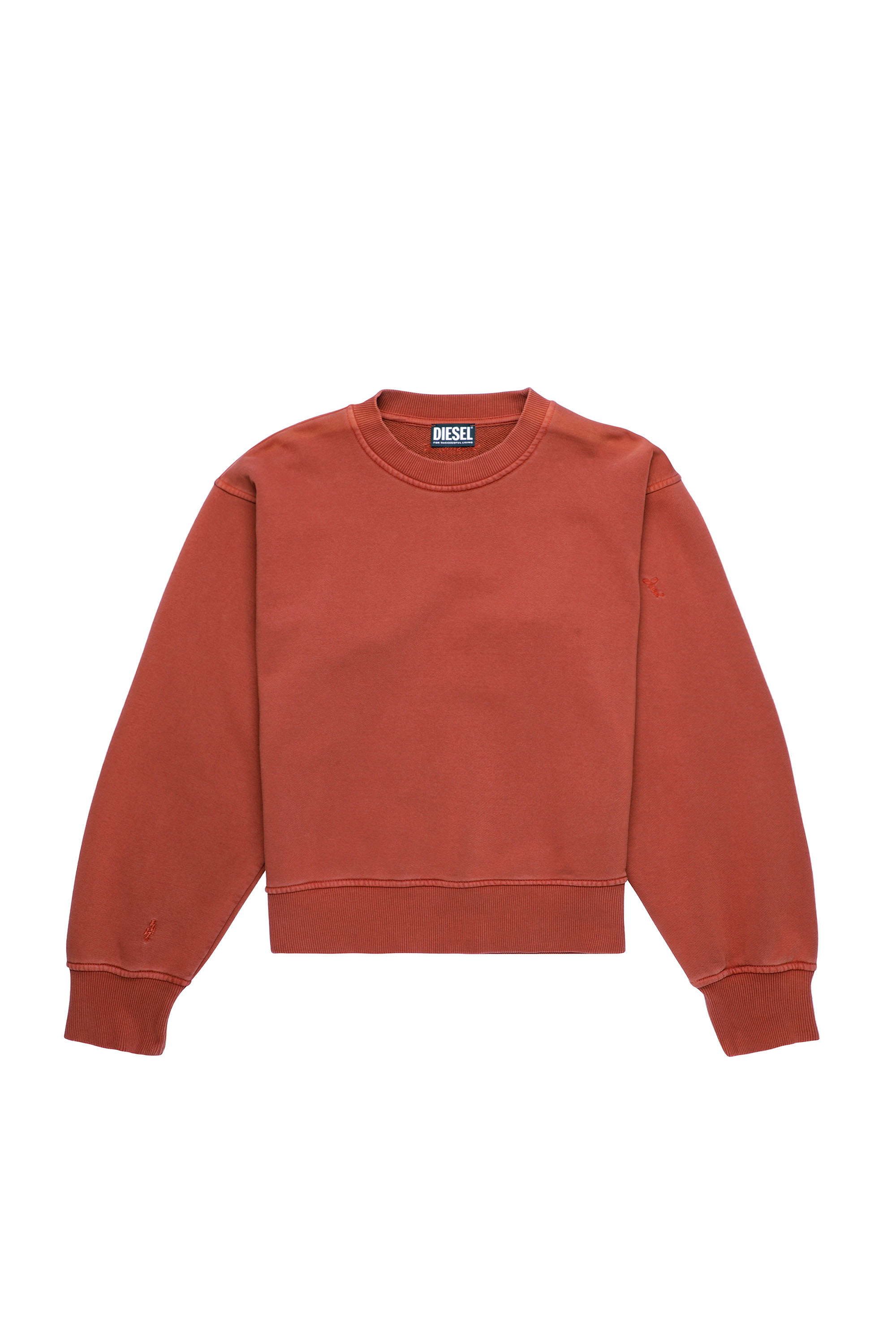 F-LYM-B1, Marrón - Sudaderas