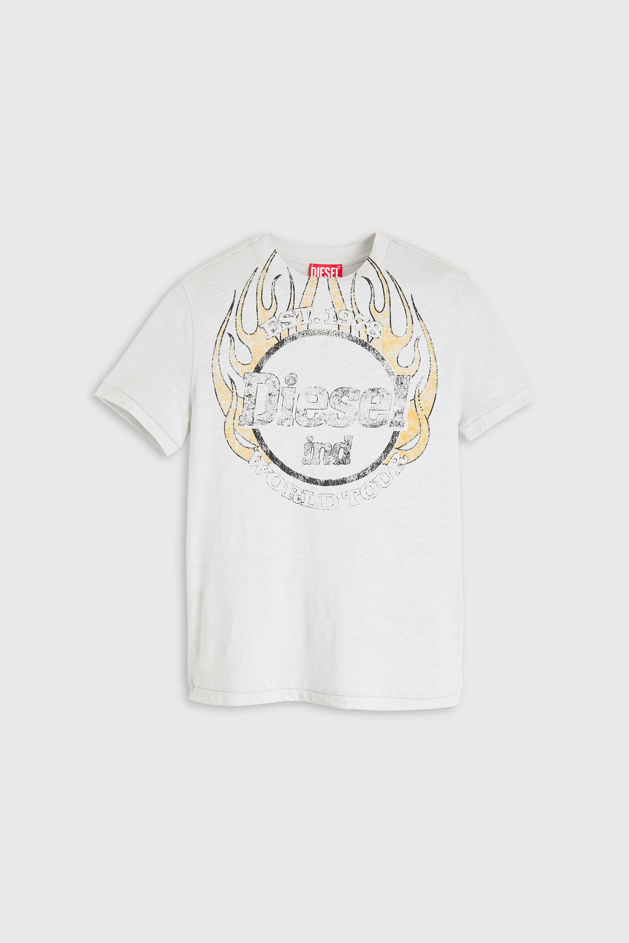 Diesel - T-REG-B1, Camiseta de jersey flameado con estampado craquelado Mujer in Blanco - 2