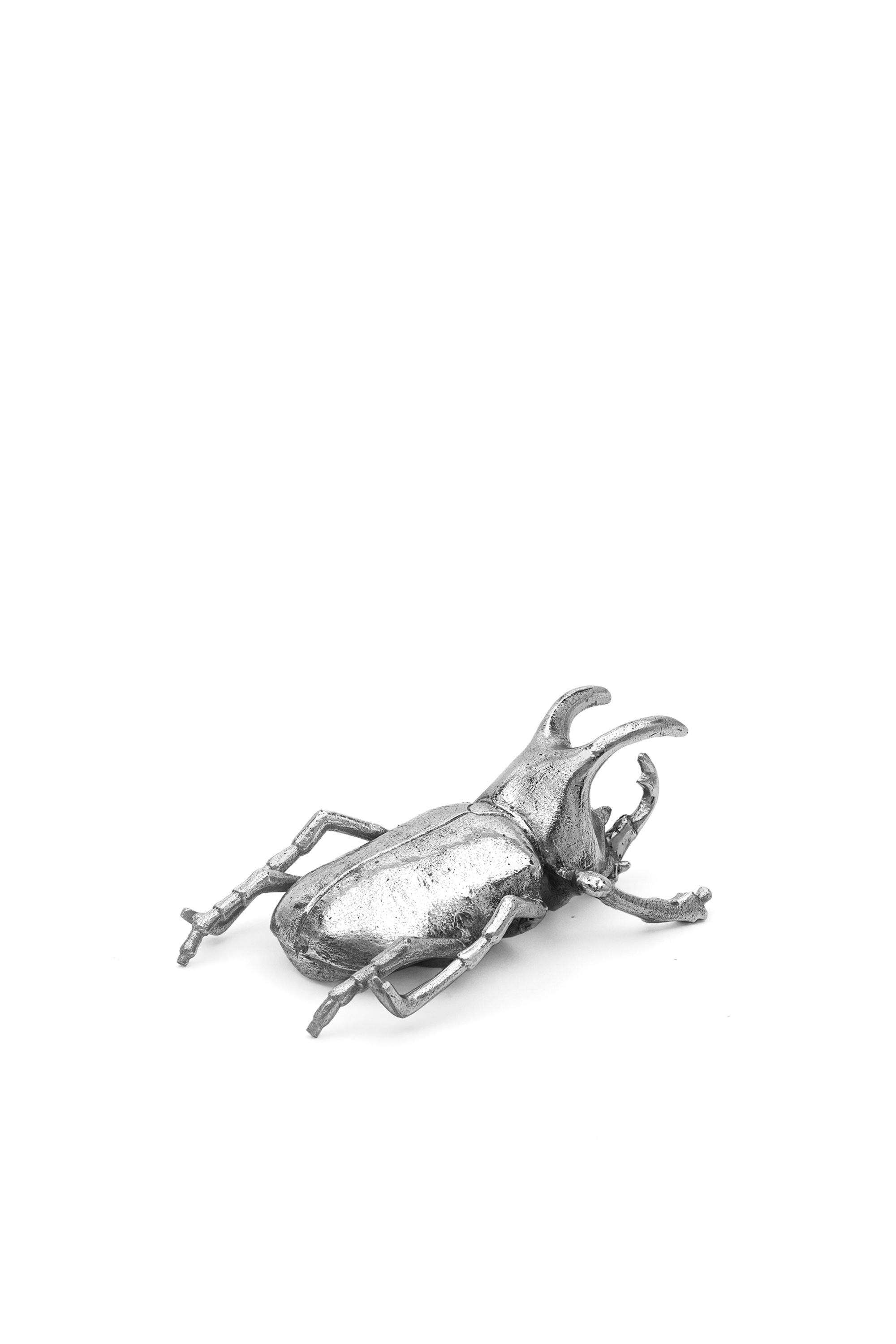 10887 WUNDERKAMMER, Plata - Accesorios de Casa