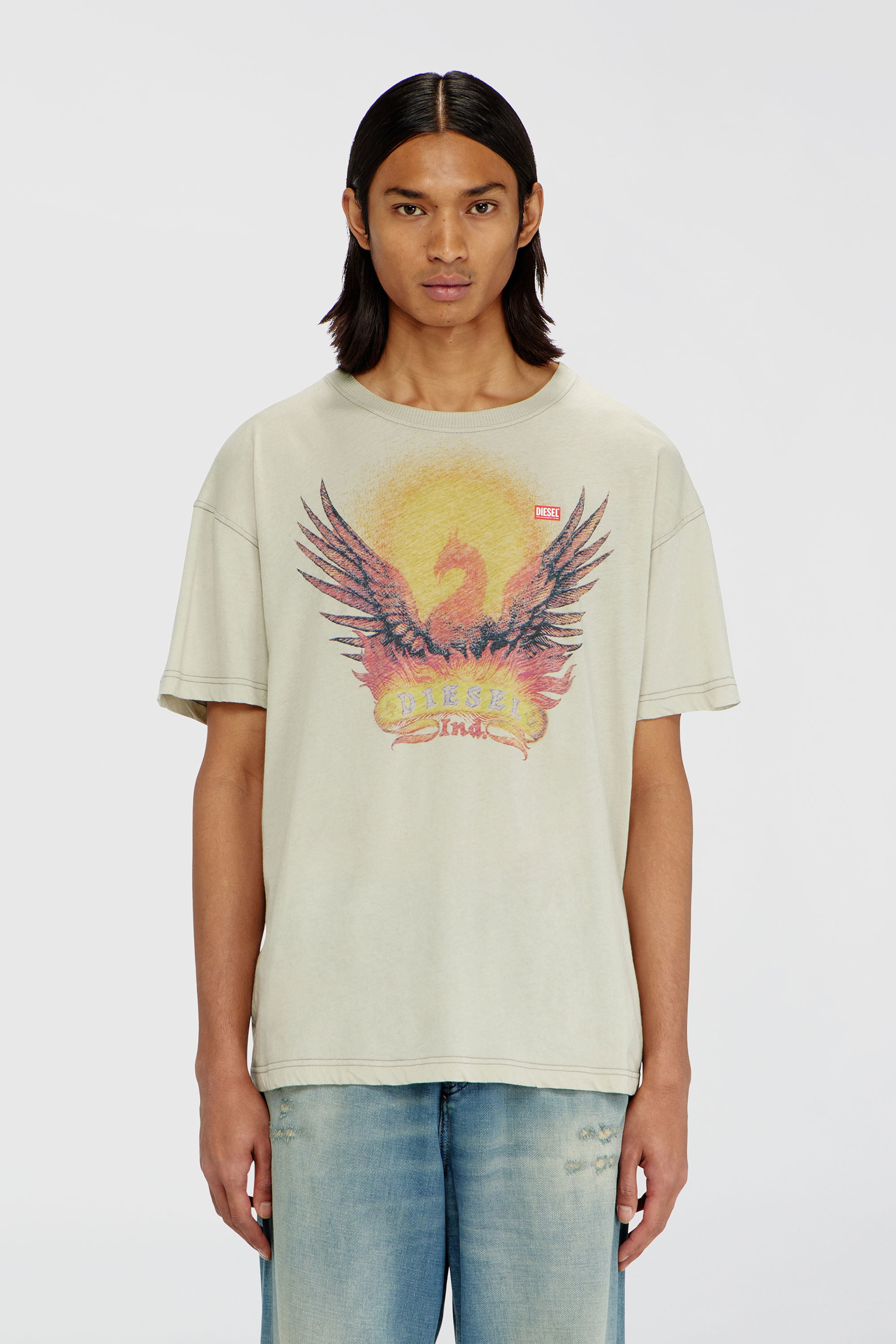 Diesel - T-NORM-AA1, Camiseta regular con estampado de f&eacute;nix Hombre in Beige - 1