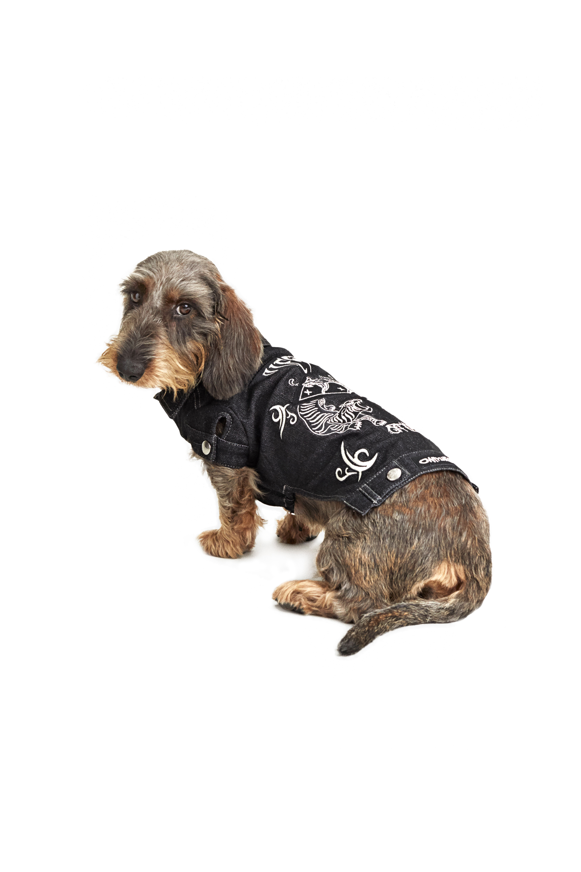 Diesel - PET-TIGERS, Negro - Image 3