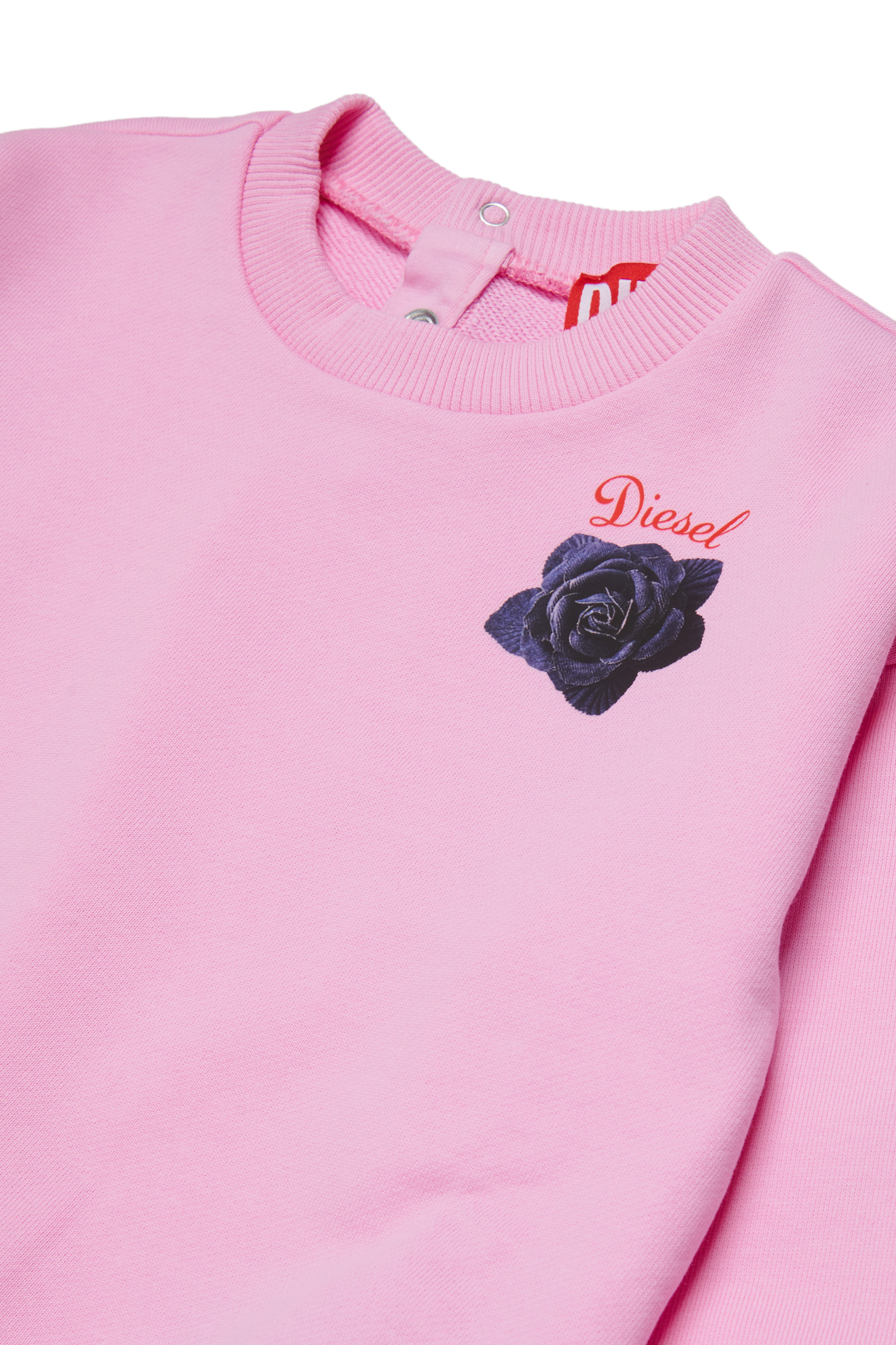 Diesel - SROSEB, Sudadera de algod&oacute;n con estampado de rosas Mujer in Rosa - 3