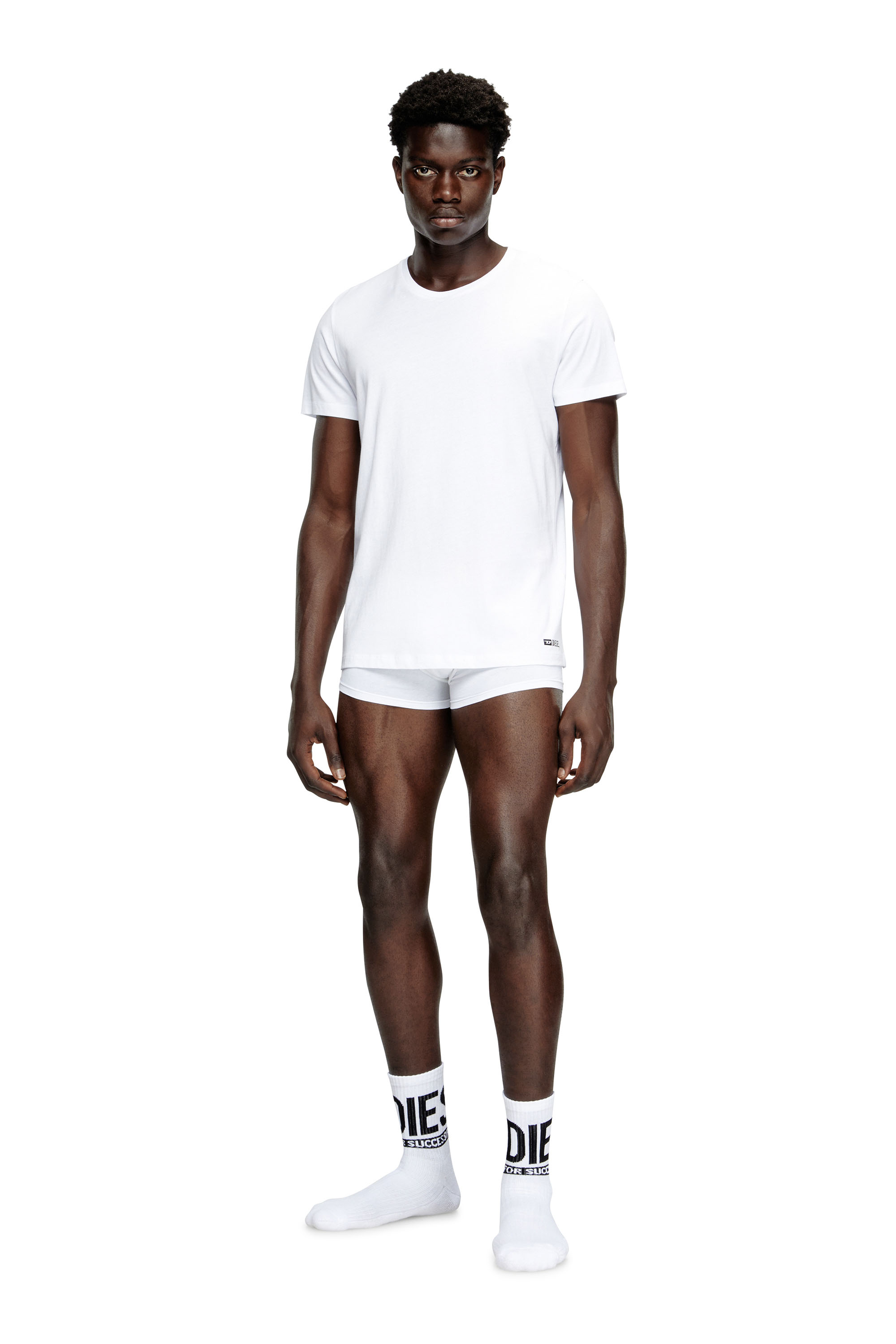 Diesel - RANDAL-D-BOX-3PACK, Paquete de tres camisetas Hombre in Blanco - 1