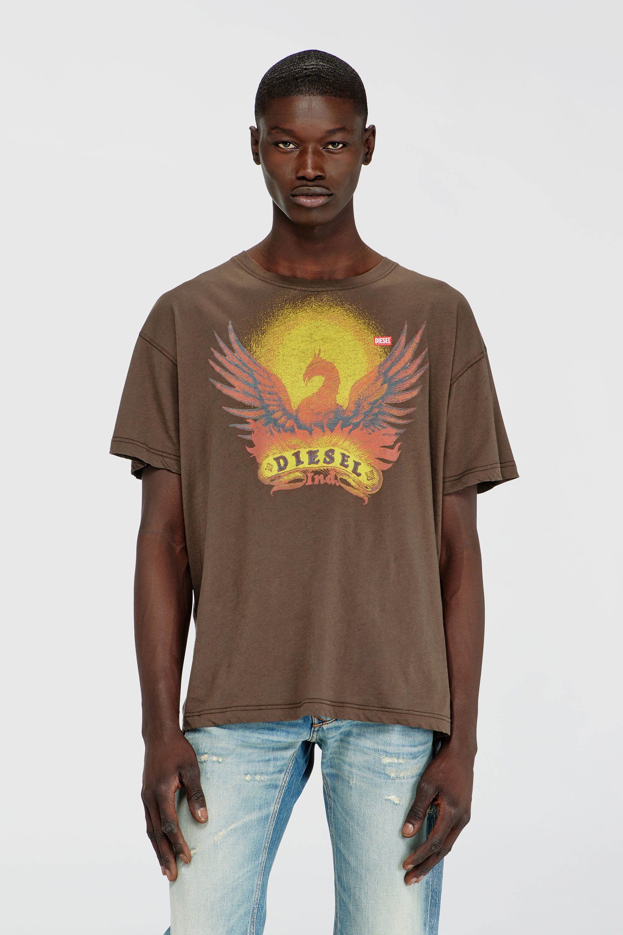 Diesel - T-NORM-AA1, Camiseta regular con estampado de f&eacute;nix Hombre in Marr&oacute;n - 1