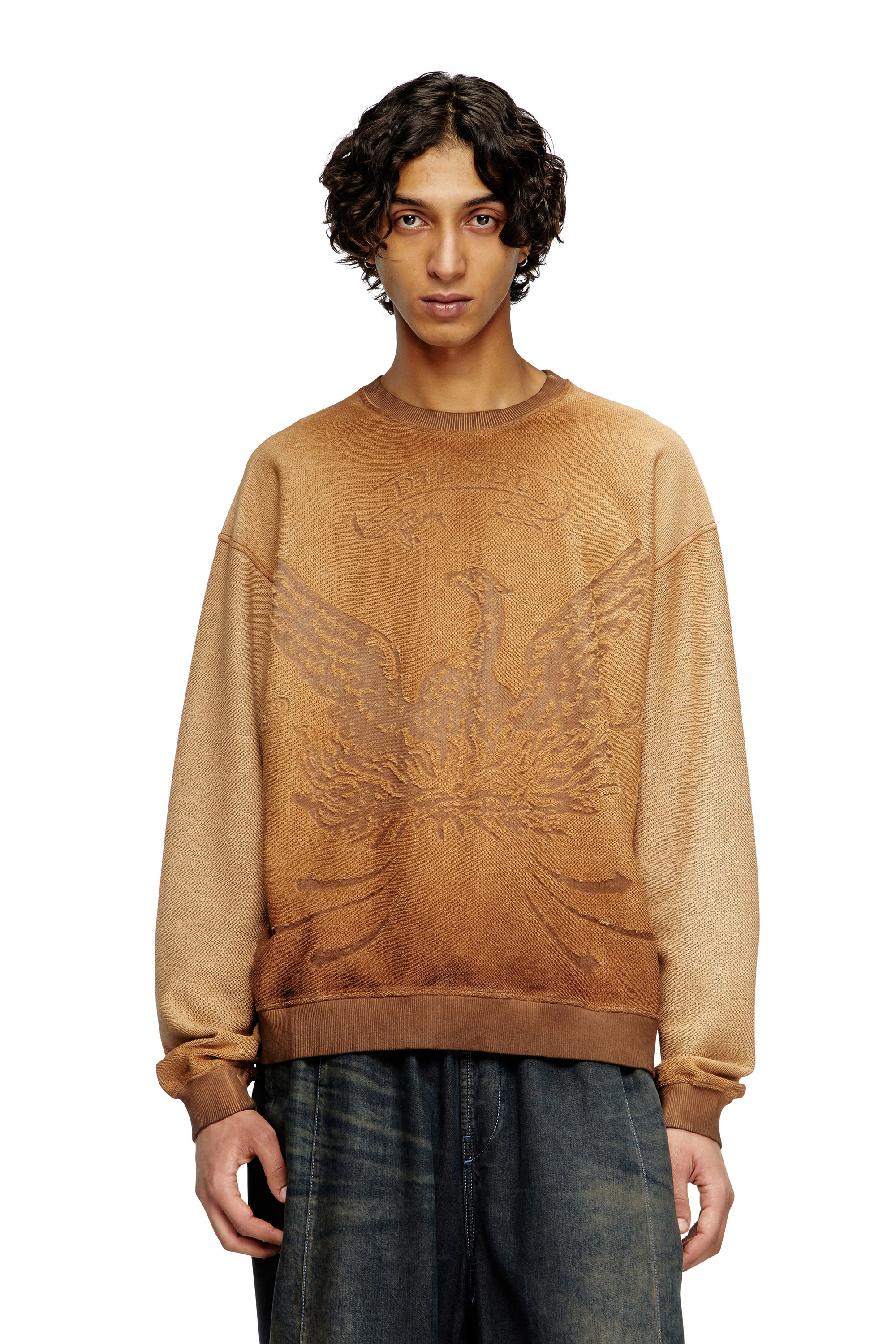 Diesel - S-ARON, Sudadera desteñida con logotipo Phoenix devoré Hombre in Marrón - 1