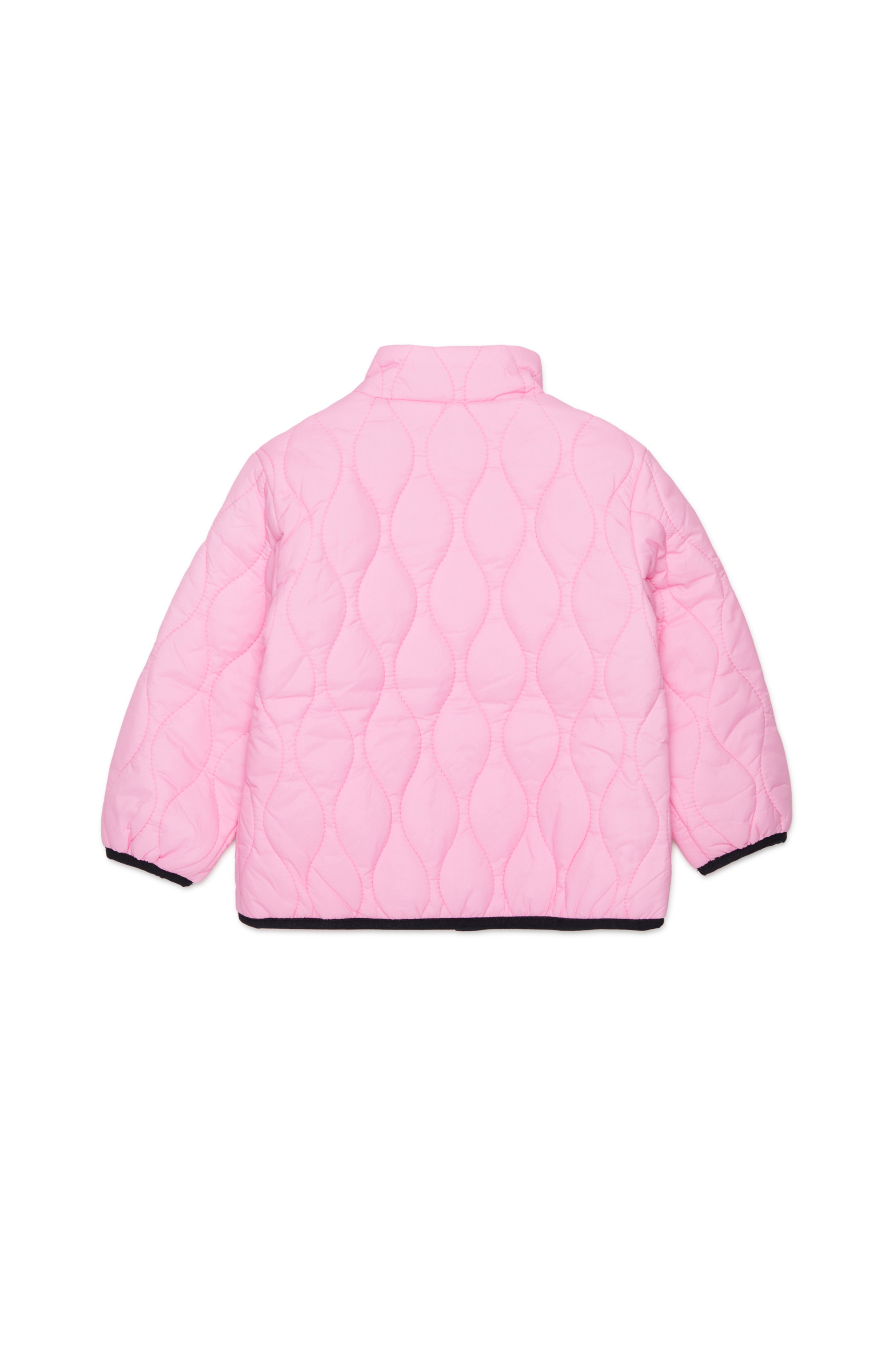 JONIONB, Rosa