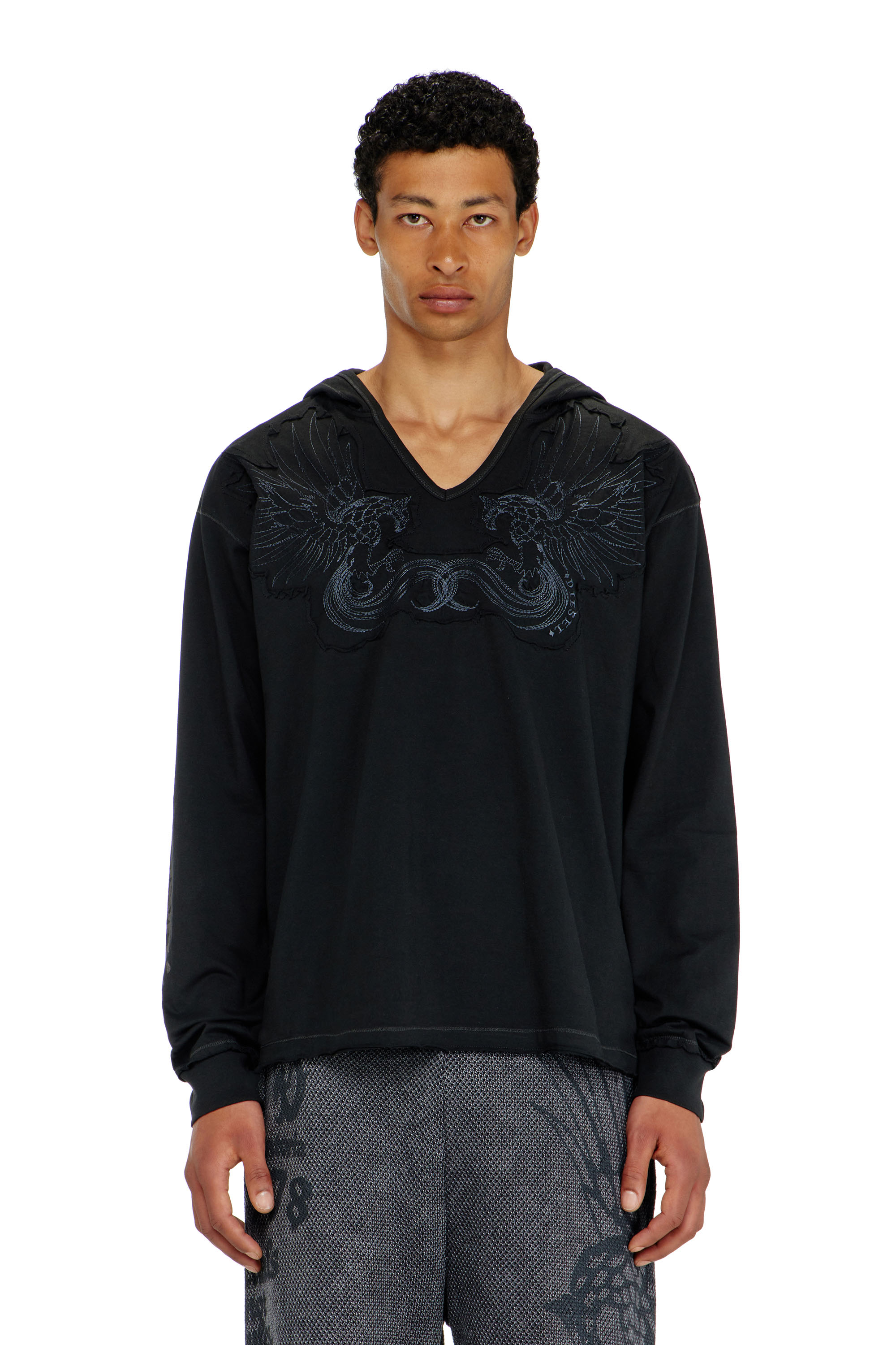 Diesel - T-PHEN-LS-HOOD-RIB, Sudadera con capucha, escote en pico y bordado delantero Hombre in Negro - 1