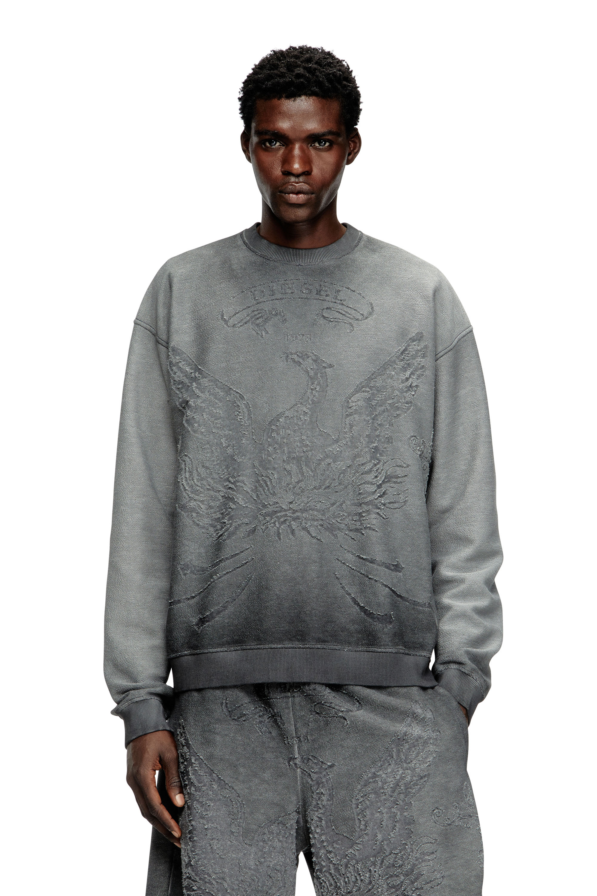Diesel - S-ARON, Sudadera desteñida con logotipo Phoenix devoré Hombre in Gris - 1