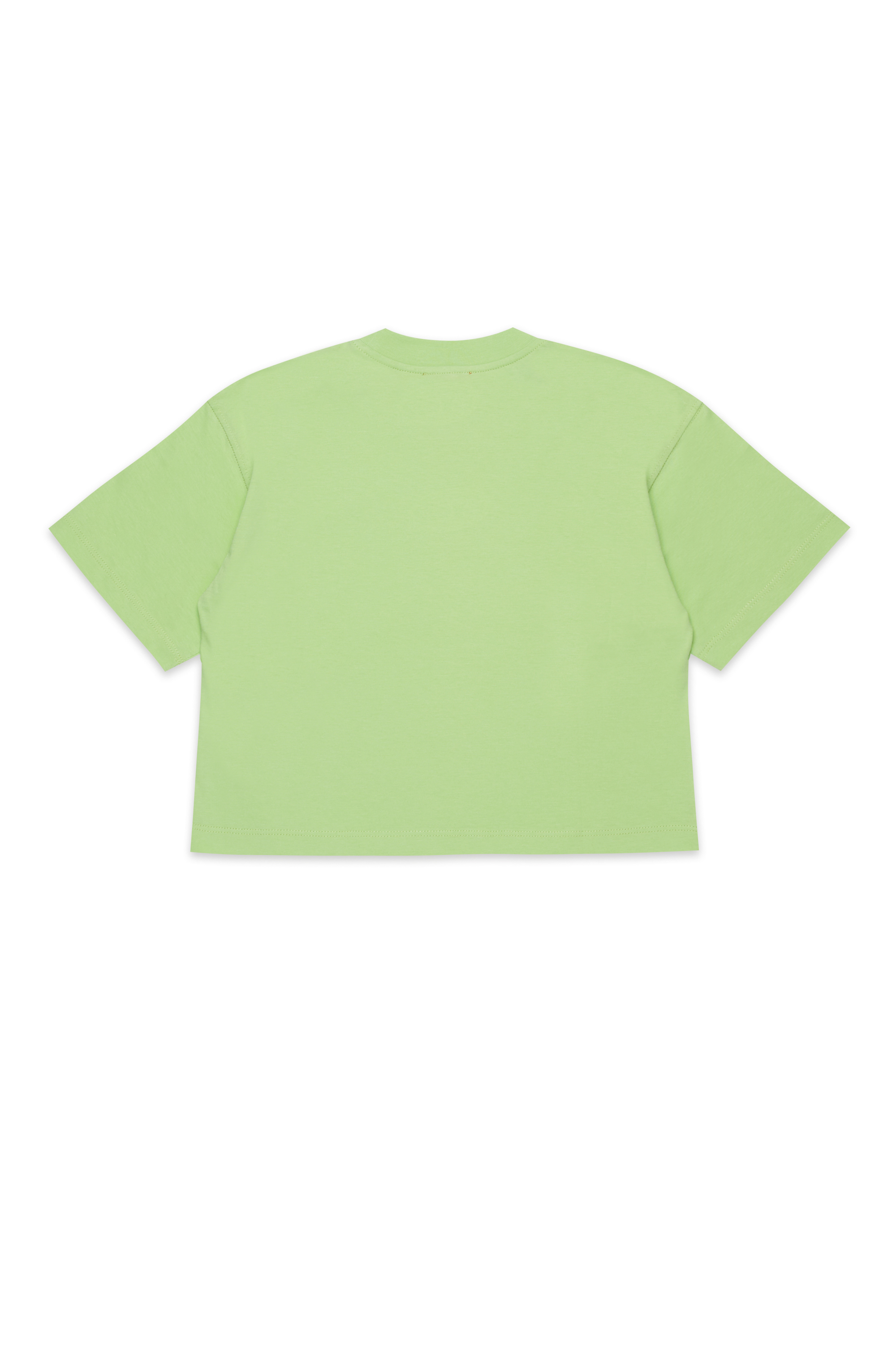 TIXAN, Verde