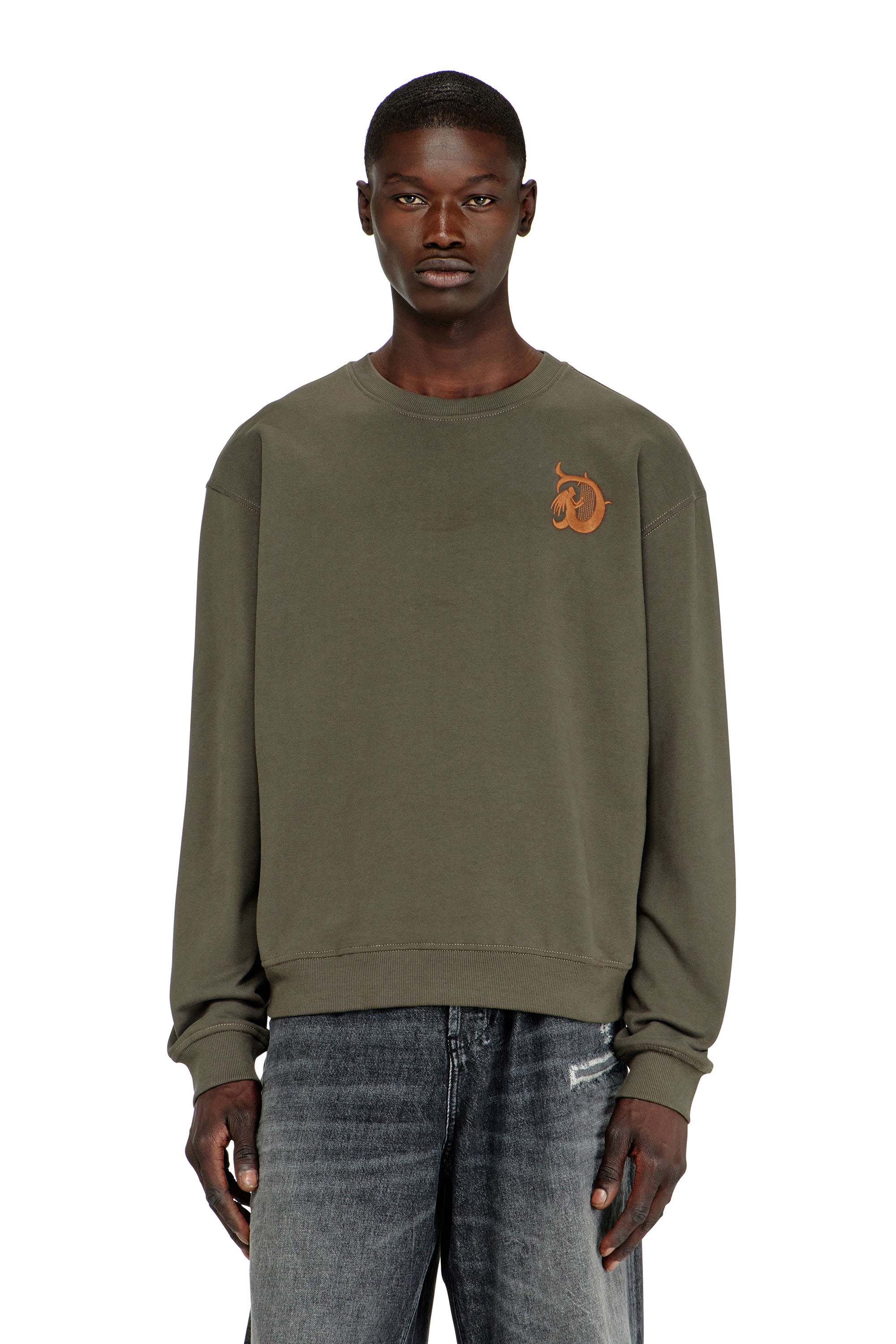 Diesel - S-NORM-AA4, Sudadera con bordado y estampado flock Hombre in Verde - 1